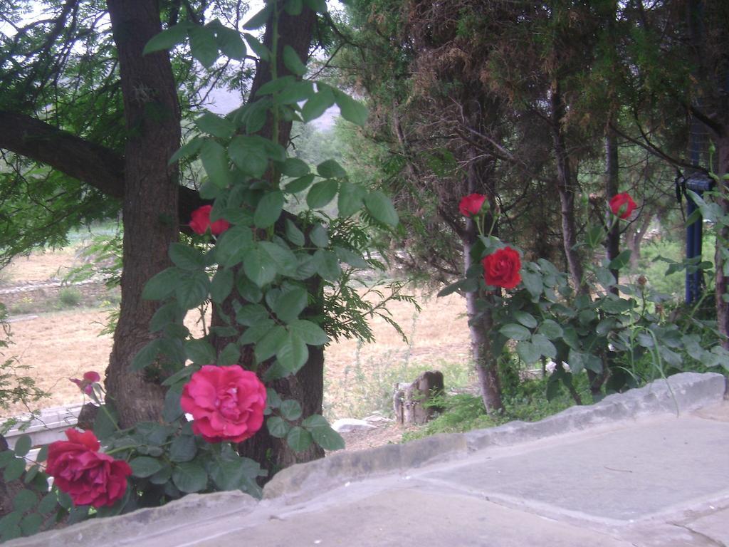 La Pasarela Ξενοδοχείο Tarija Εξωτερικό φωτογραφία